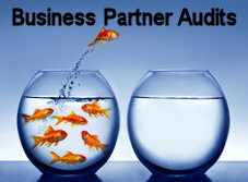 Web Shop Audits, Lieferantenaudits, Business Partner Audits, Projektaudits, Projektmanagement Handel