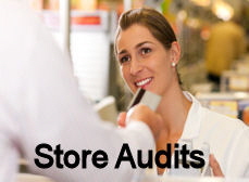 Web Shop Audits, Lieferantenaudits, Business Partner Audits, Projektaudits, Projektmanagement Handel