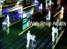 Web Shop Audits, Lieferantenaudits, Business Partner Audits, Projektaudits, Projektmanagement Handel