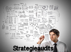 Projektmanagement, Einzelhandel, Projektaudits, Lieferantenaudits, Franchisepartneraudits, Strategie Audits